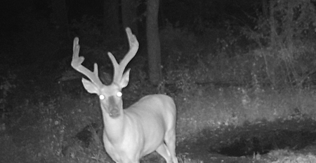 Premier Hunting Parcel in Clark County, Missouri - image 31