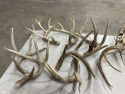 Premier Hunting Parcel in Clark County, Missouri - image 24