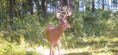 Premier Hunting Parcel in Clark County, Missouri - image 13