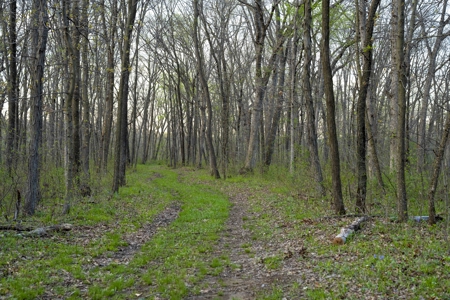 Premier Hunting Parcel in Clark County, Missouri - image 3