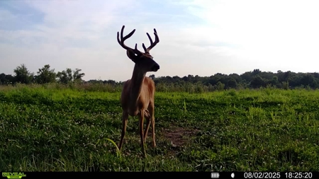 Premier Hunting Parcel in Clark County, Missouri - image 19