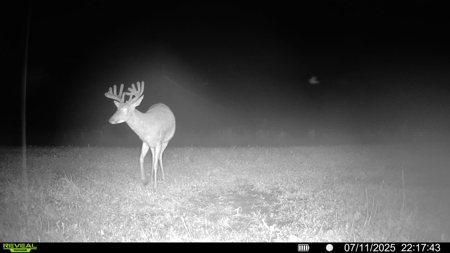 Premier Hunting Parcel in Clark County, Missouri - image 18