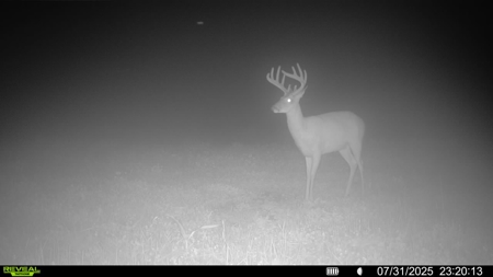 Premier Hunting Parcel in Clark County, Missouri - image 16