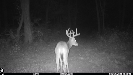 Premier Hunting Parcel in Clark County, Missouri - image 23