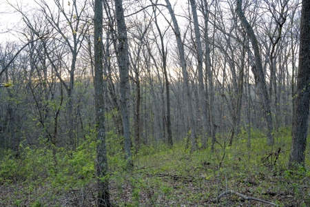 Premier Hunting Parcel in Clark County, Missouri - image 1