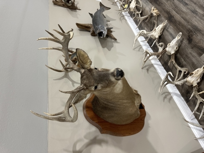 Premier Hunting Parcel in Clark County, Missouri - image 7