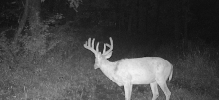 Premier Hunting Parcel in Clark County, Missouri - image 26
