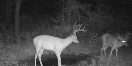 Premier Hunting Parcel in Clark County, Missouri - image 25