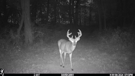 Premier Hunting Parcel in Clark County, Missouri - image 21