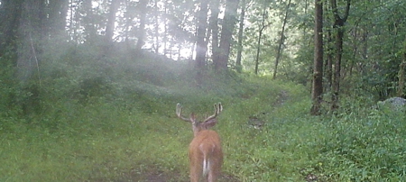 Premier Hunting Parcel in Clark County, Missouri - image 30