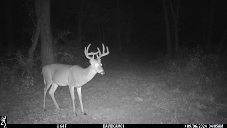 Premier Hunting Parcel in Clark County, Missouri - image 22