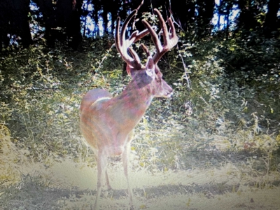Premier Hunting Parcel in Clark County, Missouri - image 9