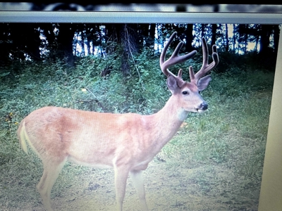Premier Hunting Parcel in Clark County, Missouri - image 10