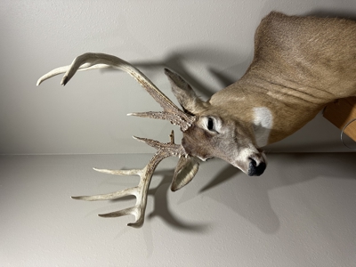 Premier Hunting Parcel in Clark County, Missouri - image 8