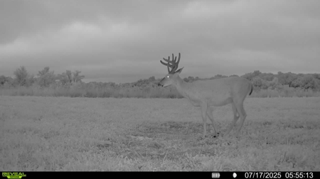Premier Hunting Parcel in Clark County, Missouri - image 20
