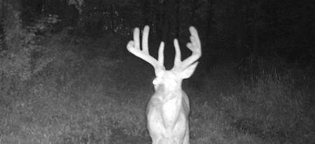 Premier Hunting Parcel in Clark County, Missouri - image 27