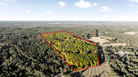 East Texas Ranch with Log Home and Timberland - image 12