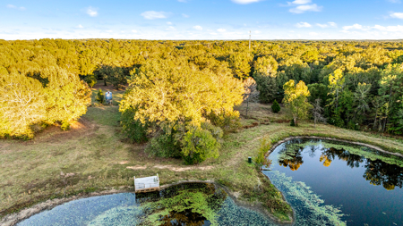 East Texas Ranch with Log Home and Timberland - image 33