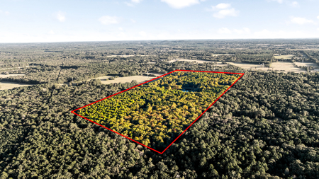 East Texas Ranch with Log Home and Timberland - image 13