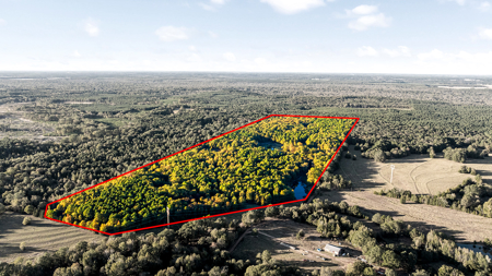 East Texas Ranch with Log Home and Timberland - image 11