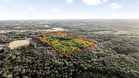 East Texas Ranch with Log Home and Timberland - image 15