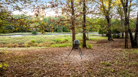 East Texas Ranch with Log Home and Timberland - image 18