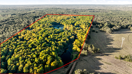 East Texas Ranch with Log Home and Timberland - image 17
