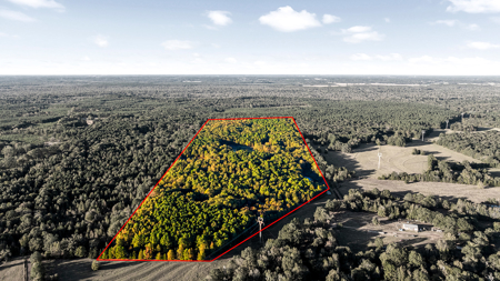 East Texas Ranch with Log Home and Timberland - image 10