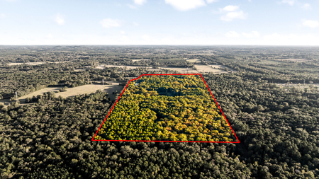 East Texas Ranch with Log Home and Timberland - image 14