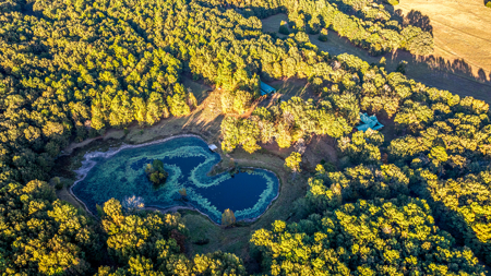 East Texas Ranch with Log Home and Timberland - image 16