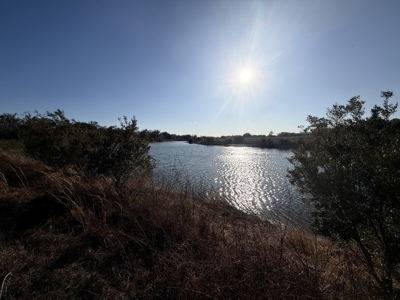 100 acres for sale Arcadia, FL - image 9