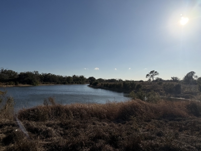 100 acres for sale Arcadia, FL - image 7