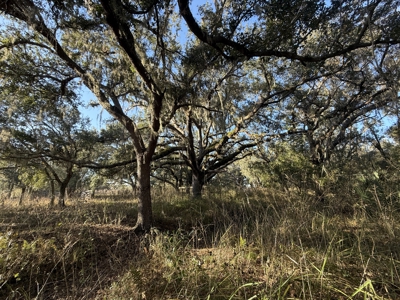 100 acres for sale Arcadia, FL - image 11