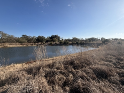 100 acres for sale Arcadia, FL - image 4