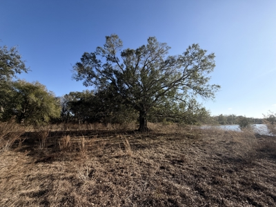 100 acres for sale Arcadia, FL - image 8
