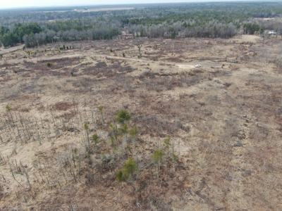 80 Acres of Juneau County Timber Land - image 13