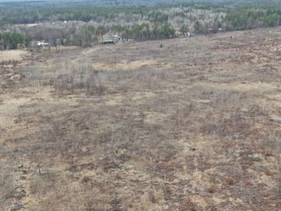 80 Acres of Juneau County Timber Land - image 8