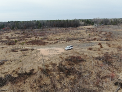 80 Acres of Juneau County Timber Land - image 14