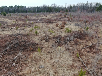 80 Acres of Juneau County Timber Land - image 20