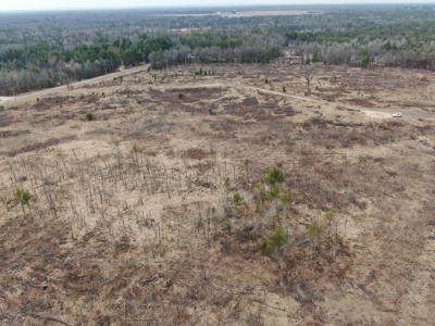 80 Acres of Juneau County Timber Land - image 12