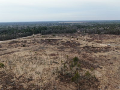 80 Acres of Juneau County Timber Land - image 11