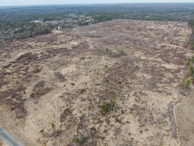 80 Acres of Juneau County Timber Land - image 4