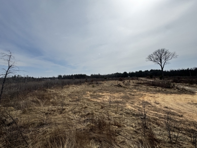 80 Acres of Juneau County Timber Land - image 22