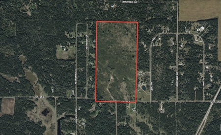80 Acres of Juneau County Timber Land - image 3