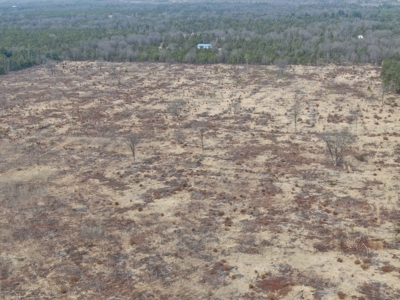 80 Acres of Juneau County Timber Land - image 7