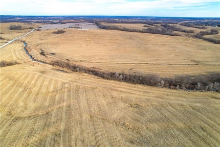364± Acre Income-Producing Row Crop Farm | Dekalb County, MO - image 14