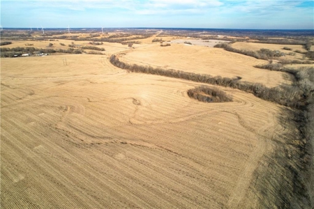 364± Acre Income-Producing Row Crop Farm | Dekalb County, MO - image 7