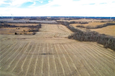 364± Acre Income-Producing Row Crop Farm | Dekalb County, MO - image 28