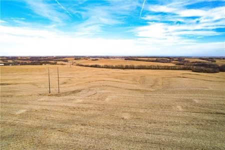 364± Acre Income-Producing Row Crop Farm | Dekalb County, MO - image 3