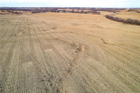 364± Acre Income-Producing Row Crop Farm | Dekalb County, MO - image 5